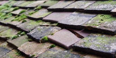 Wem roof repair costs